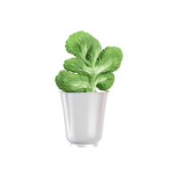3d rendering of Blue Myrtle-Cactus plant isolated on transparent Canvas png