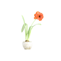 3d rendering of Gladiolus flowers plants in pots isolated on Canvas png