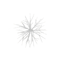Trees Covered in Snows with transparent canvas from the top view png