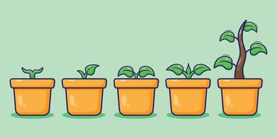 Cute cartoon of plant growth process with isolated layers and simple colors inside vector