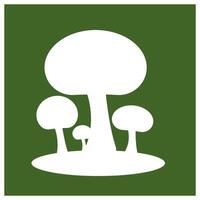 mushroom logo design vector