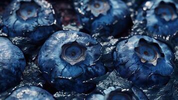 Healthy dried blueberry organic fruit closeup rustic texture view dehydration photo