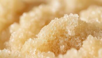 Sugar texture closeup macro white sugar cane tree photo
