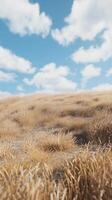 Dried grass on hill and blue-sky view with clouds nature environment photo