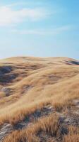 Dried grass on hill and blue-sky view with clouds nature environment photo