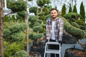 Gardener at work near sprouts of bushes and trees. Horticulture and sale of trees photo
