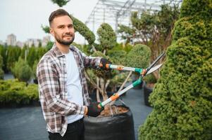 Garden worker trimming trees with scissors. garden shop photo