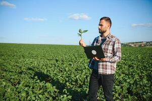 Young handsome agriculture engineer squatting in soybean field with laptop in hands in early summer photo