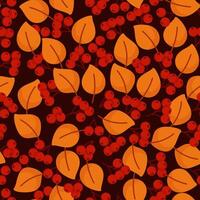 Seamless pattern of orange autumn leaves and red berries on a dark background vector