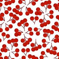 Seamless pattern of red berries on a white background vector
