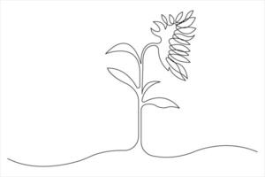 Sunflower continuous one line art drawing of outline minimalism illustration vector