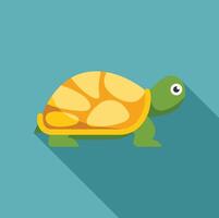 Cute green turtle walking with yellow shell flat design icon with long shadow vector