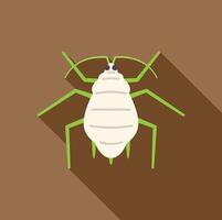White mealybug insect pest crawling flat design icon vector