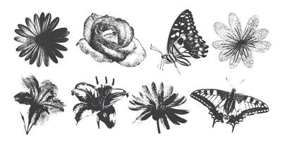 Flower, butterflies, with halftone stipple effect, for grunge punk y2k collage design, with monochrome photocopy effect, vector