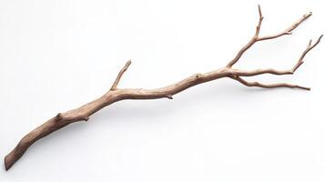 A natural, twisted branch displayed on a white background. photo