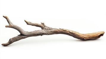 A natural, weathered piece of driftwood with a twisted shape, suitable for decoration or crafting. photo