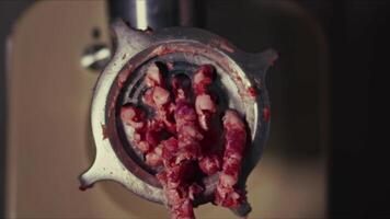 While mincing meat in a meat grinder video