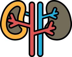 A drawing of a pair of kidneys with red, blue and yellow lines vector