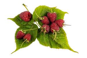 Raspberry with leaves. Raspberry isolated on white background. photo