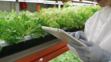 Farmer, tablet and greenhouse plants, farming and gardening for agriculture, green product and business. Manager, man or entrepreneur with agro harvest or vegetables and typing on digital technology photo