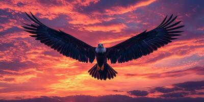 Bald Eagle Soaring Through Sunset Clouds photo