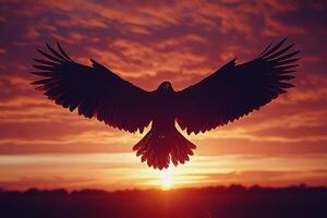 Silhouette of an Eagle in Flight at Sunset photo