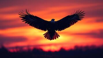 Silhouette of a Bald Eagle Soaring Against a Dramatic Sunset photo