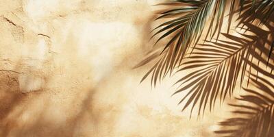 Palm Leaf Shadow on Textured Wall Minimalist Tropical Background photo
