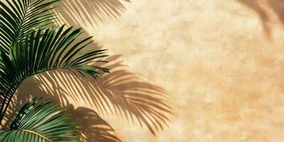 Palm Leaf Shadow on Beige Wall Background photo