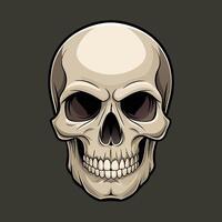 Realistic human skull, front view, detailed lines vector