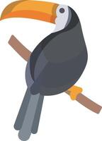 toucan illustration design vector