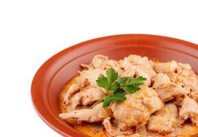 Chicken meat with onion sauce and parsley on a plate photo