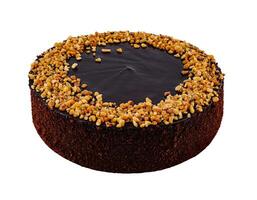 Delicious chocolate cake with chocolate icing and chopped almonds on white background photo
