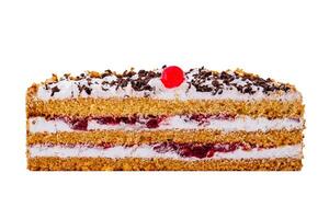 Delicious cake with chocolate sprinkles and cherry filling showing its layers photo