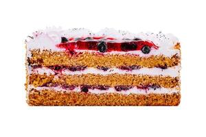 Delicious cake with berry filling and poppy seed topping isolated on white background photo