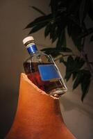 Bottle of cognac balancing precariously on edge of broken clay pot photo