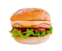 Delicious burger with chicken patty, vegetables and sauce on white background photo