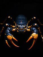 Scorpion isolated on black background photo