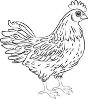 Chicken. Thin black lines. Only the outline. For coloring. vector