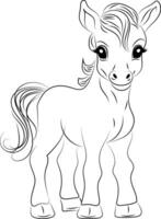 Foal. Thin outline with black lines. For coloring. vector