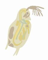 Illustration of Daphnia under a microscope on a white background. vector