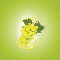 a green background with a bunch of grapes and juice, splash, leaves. vector