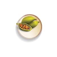 a half of an cardamom is on a plate. vector
