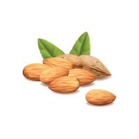 a pile of nuts with a white background. vector