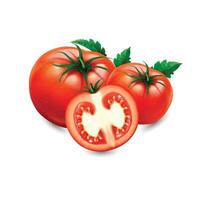 a tomato with a green leaf on white background. vector