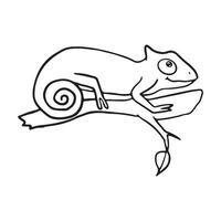 Simple illustration of a chameleon on a branch. Perfect for educational content, nature blogs, or articles on reptiles and jungle wildlife vector