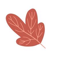 Red autumn leaf with intricate details. Perfect for articles on nature, fall foliage, and botanical designs, or for seasonal autumn content. vector