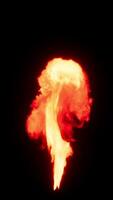Two shots of red fire. High quality 4k loop animation video