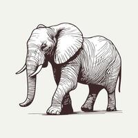 Captivating Hand Drawn Elephant Sketch vector