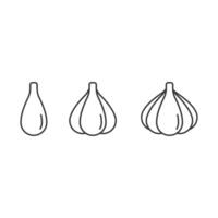 Bulb garlic outline icon set. 3 pt. Isolated on white background. garlic perfect icon vector